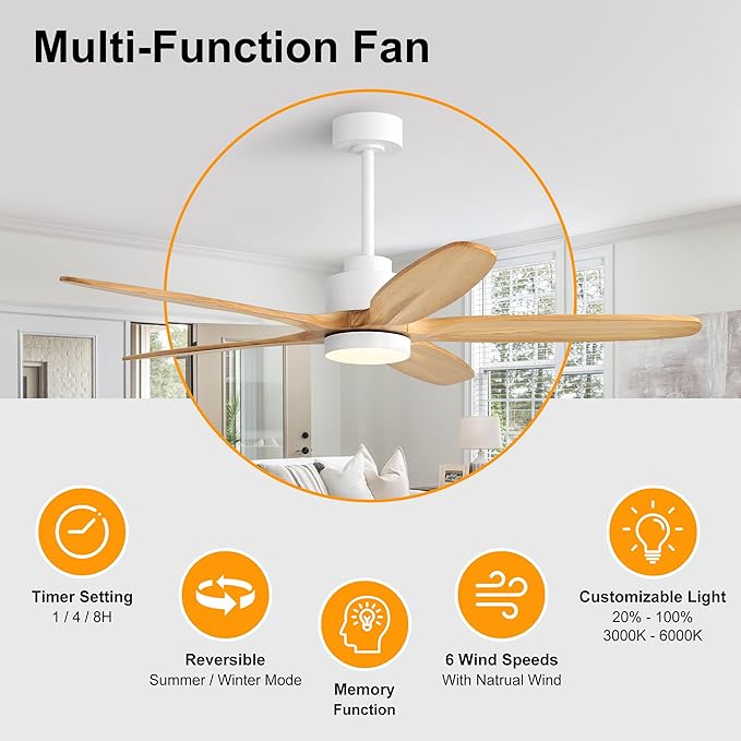 WINGBO 54" Ceiling Fan with Light