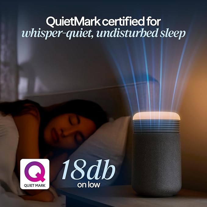 BLUEAIR Purifier for Bedroom