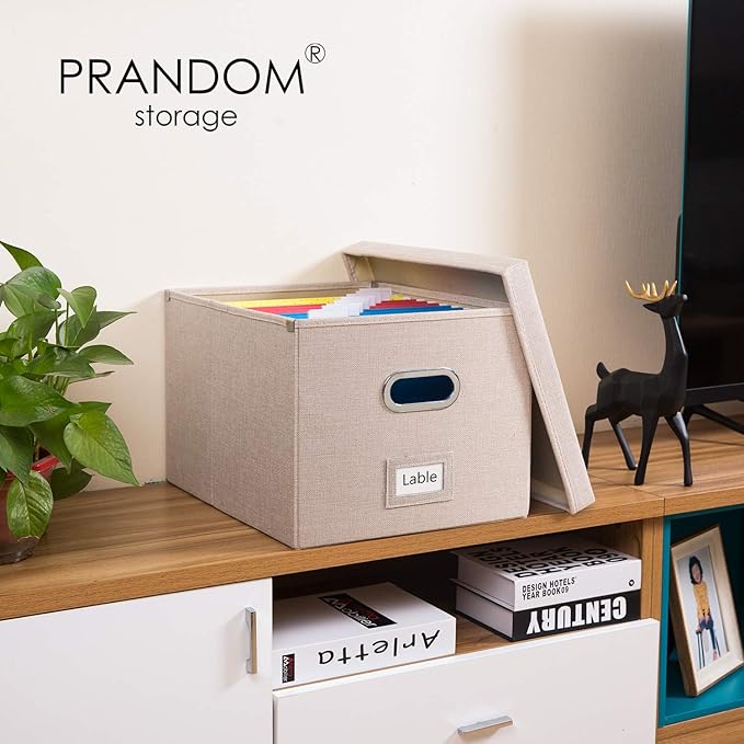 PRANDOM File Organizer Box (Set of 4)