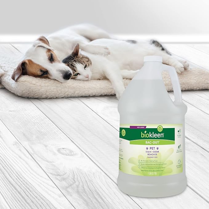 Biokleen Bac-Out Pet Stain Remover