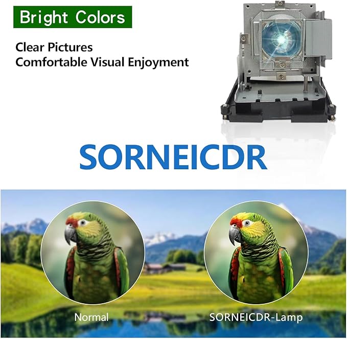 SORNEICDR BL-FU310B / 5811118436-SOT Replacement Projector Lamp Bulb Compatible