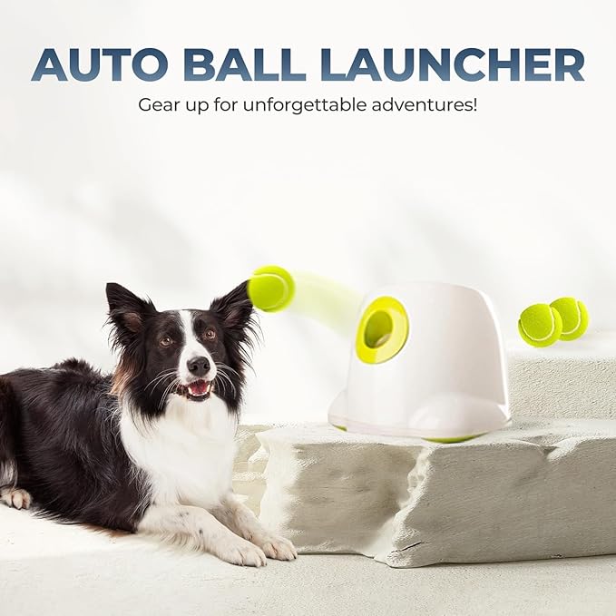 ALL FOR PAWS Automatic Ball Launcher for Dogs Interactive Puppy Pet Ball (6 Pcs)