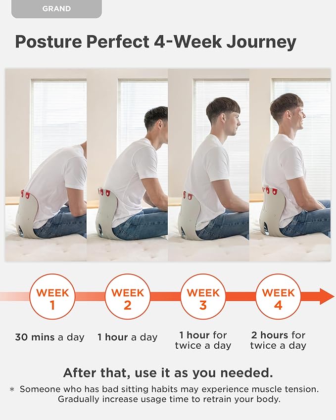 curble Grand – Ergonomic Back and Lumbar Support
