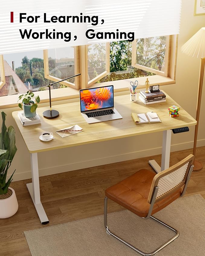 SANODESK Electric Standing Desk 40 x 24 Inches Whole-Piece Desktop Height