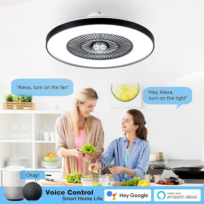 HUMHOLD 24" Bladeless Ceiling Fans