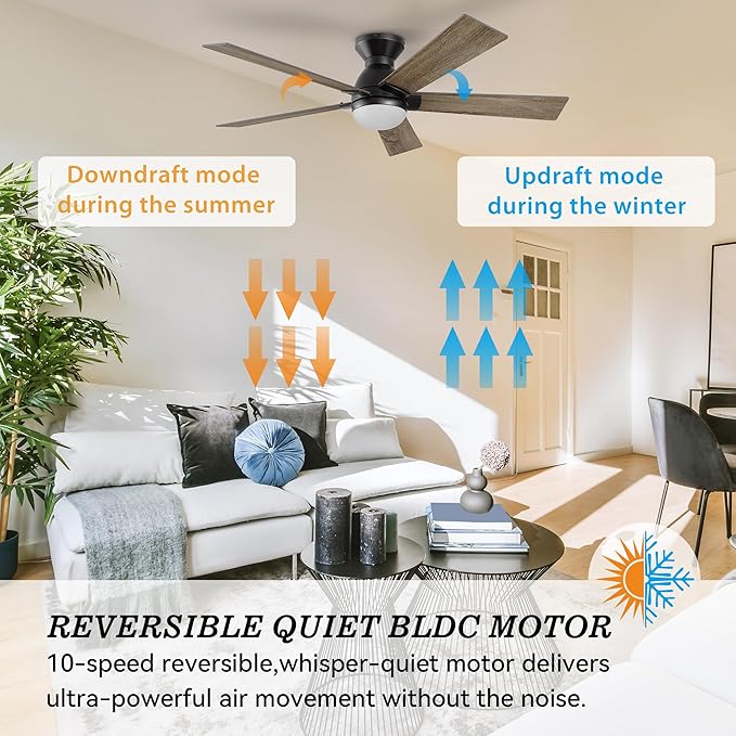 SMAAIR 52 Inch Smart Ceiling Fan