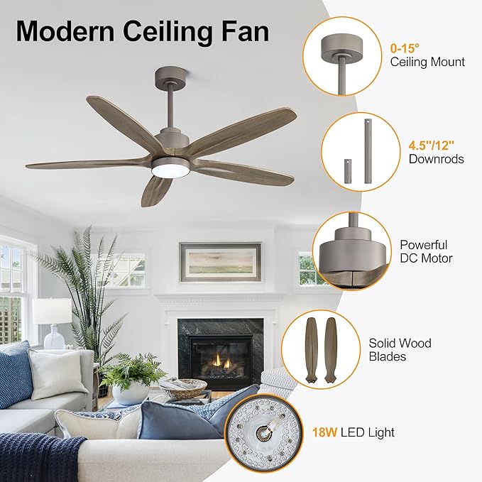 WINGBO 54" Ceiling Fan with Light