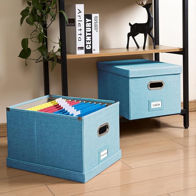 PRANDOM File Organizer Box (Set of 4)