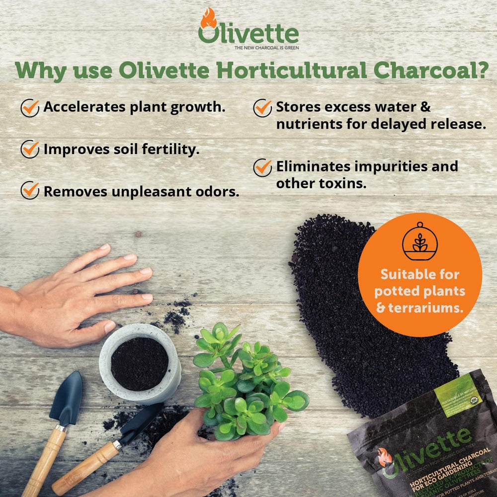 OLIVETTE Organic Biochar Activated Charcoal for Plants, 3 Bags