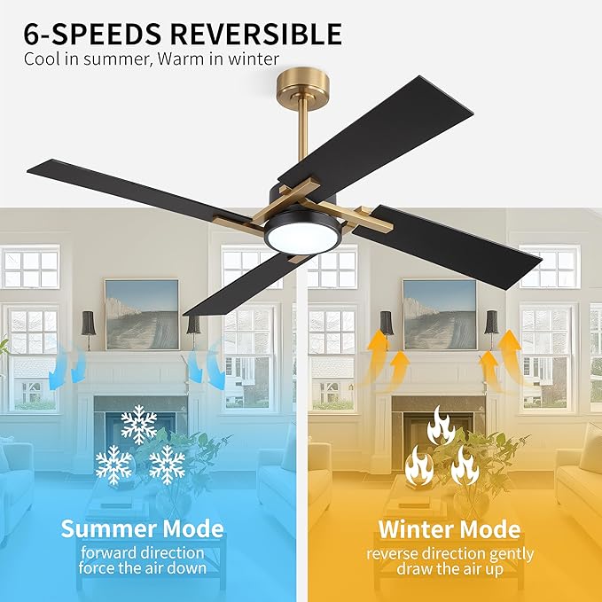 WINGBO 54 Inch Ceiling Fan