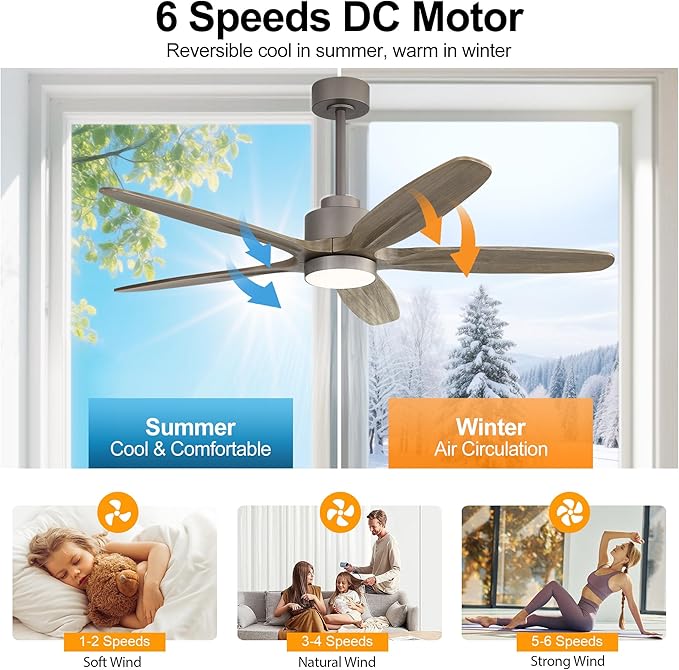 WINGBO 54" Ceiling Fan with Light