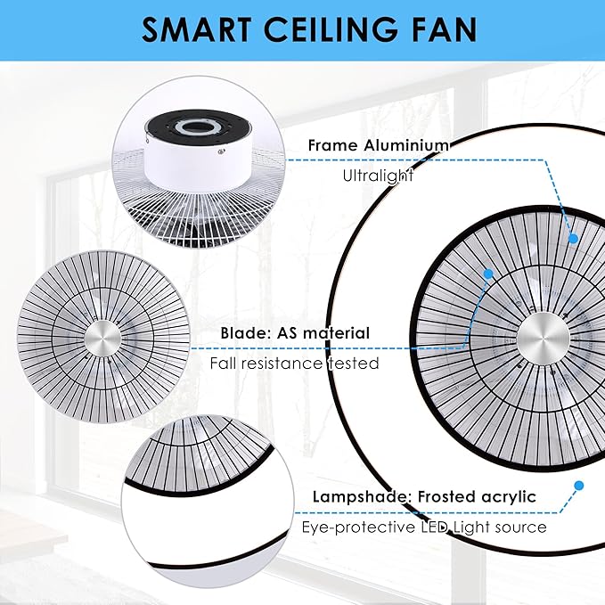 HUMHOLD 24" Bladeless Ceiling Fans