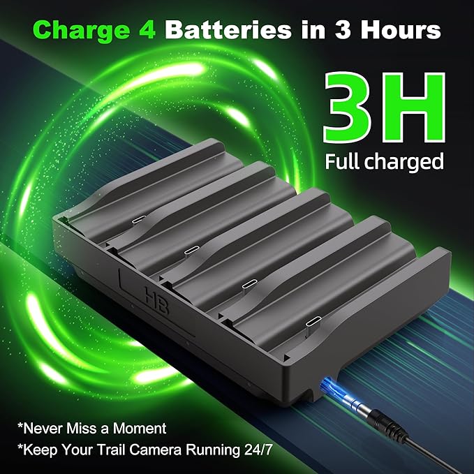 Lesaps 4Pack Rechargeable Reveal Lipo Lithium Battery Pack