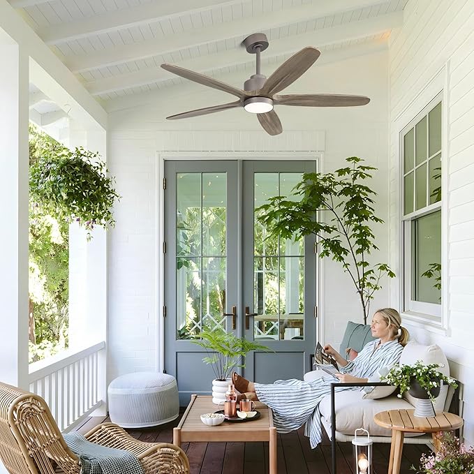WINGBO 54" Ceiling Fan with Light
