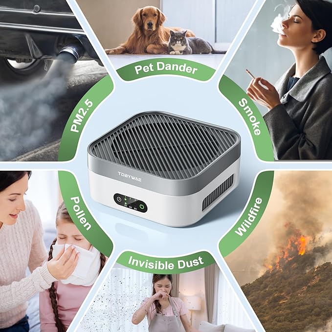 TDBYWAE Air Purifier for Home – True HEPA Filter for Pets, Smoke & Allergies |