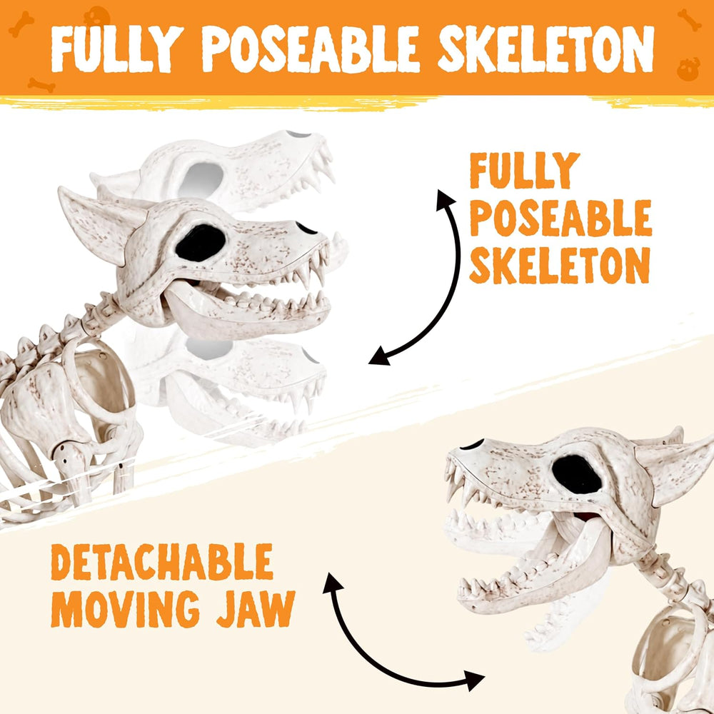 JOYIN 34” Wolf Skeleton Halloween Decoration, Plastic Animal Skeleton with Mo...
