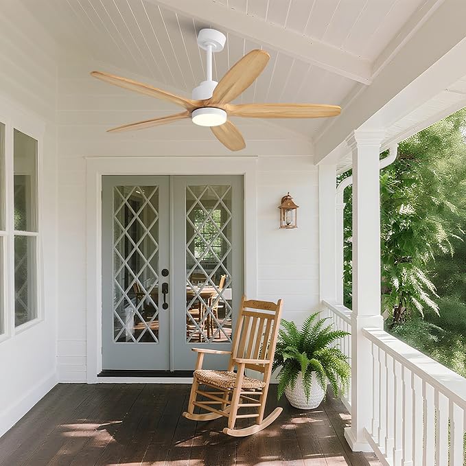 WINGBO 54" Ceiling Fan with Light