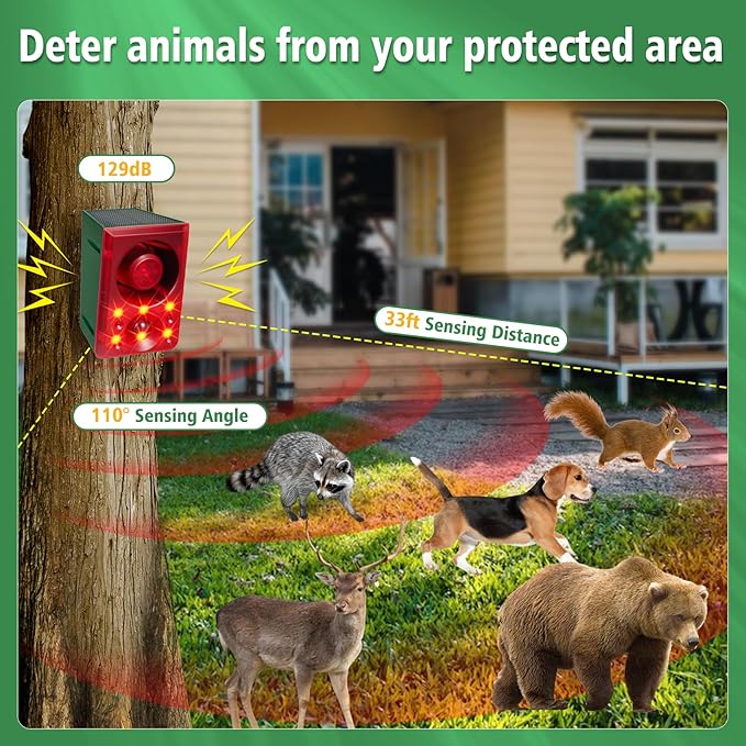 ChunHee Solar Outdoor Motion Sensor Alarm