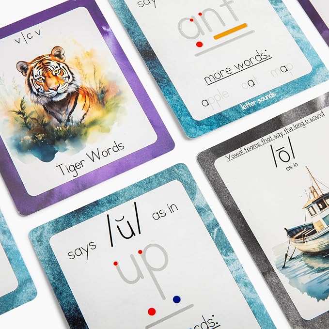 Phonics & Vowel Teams Flashcards