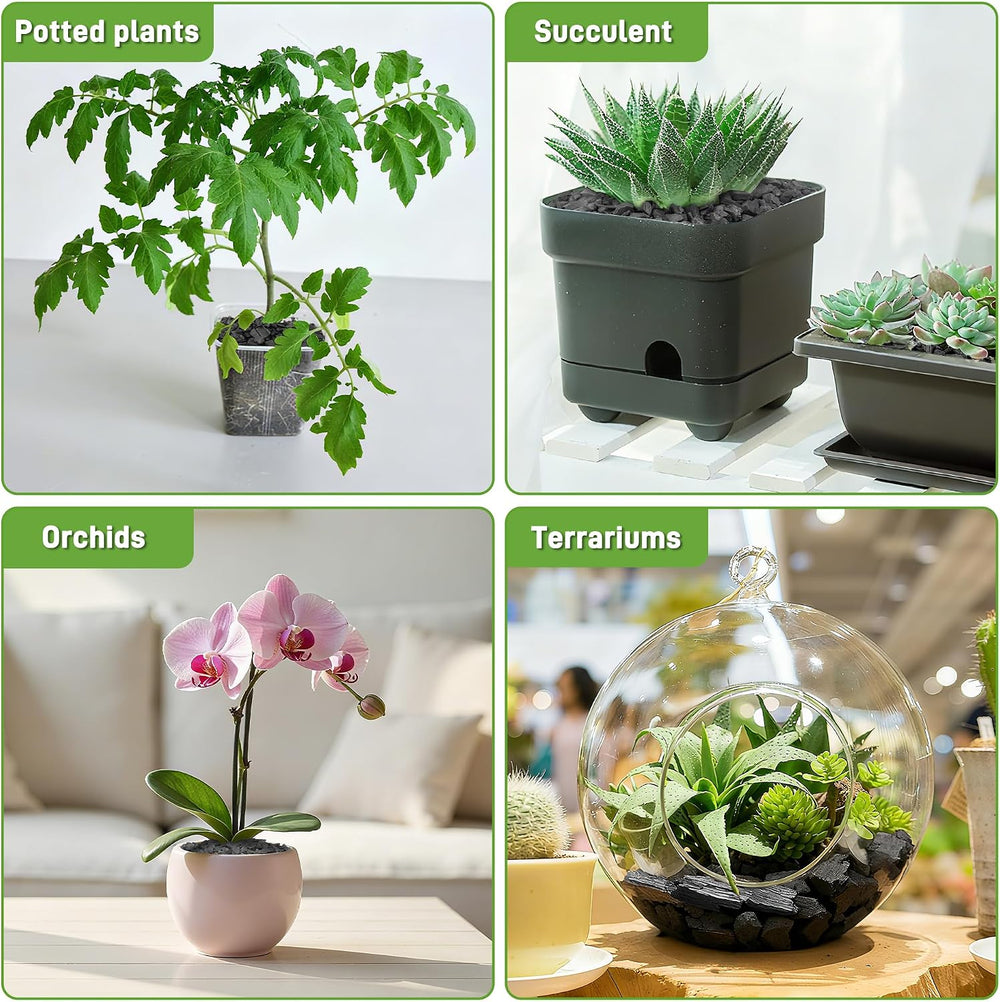 9QT Horticultural Charcoal for Plants