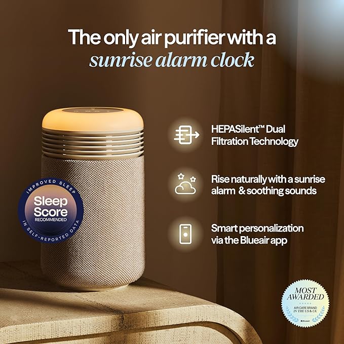 BLUEAIR Purifier for Bedroom