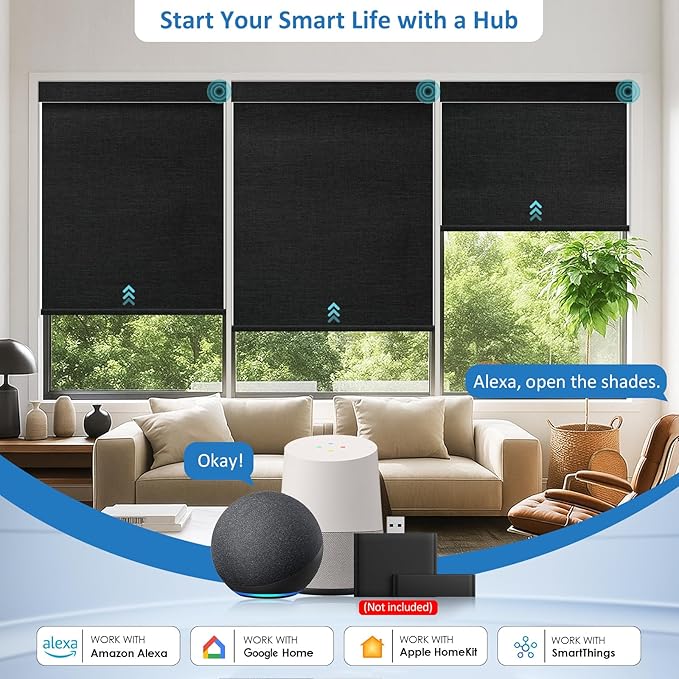 MANSNIX Smart Motorized Blinds