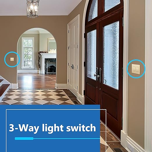 LIDER Minimalist Design Matte Finish Lighted Decorator Switch