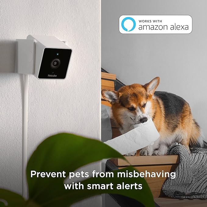 Petcube Cam Pack of 3 Indoor Home Security Cameras