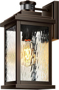 VIANIS Advanced Motion Sensor Light Outdoor, Large Bronze Exterior Lighting