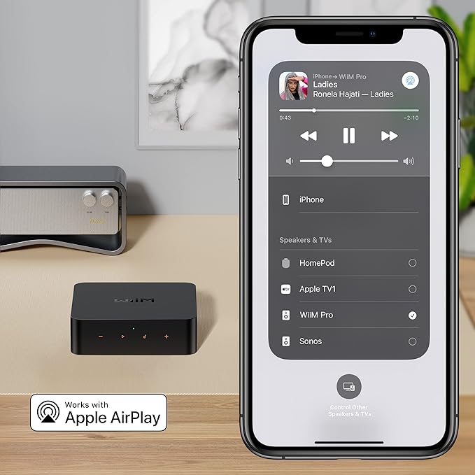 WiiM Pro AirPlay 2 Receiver, Google Cast Audio, WiFi Multiroom Streamer