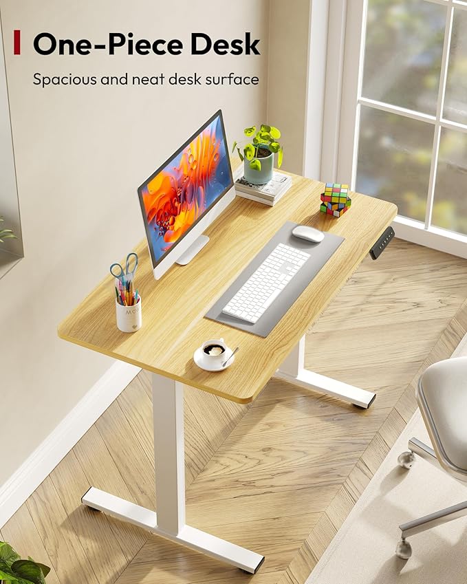SANODESK Electric Standing Desk 40 x 24 Inches Whole-Piece Desktop Height