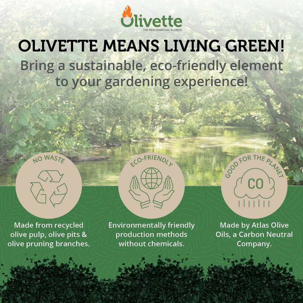 OLIVETTE Organic Biochar Activated Charcoal for Plants, 3 Bags