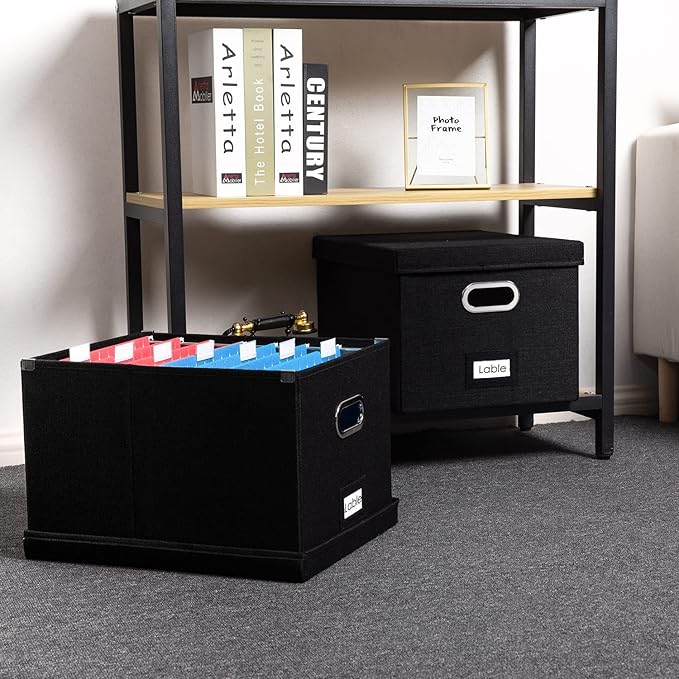 PRANDOM File Organizer Box (Set of 2)