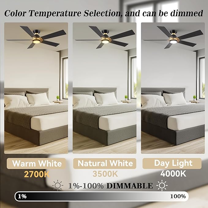 SMAAIR 52 Inch Smart Ceiling Fan