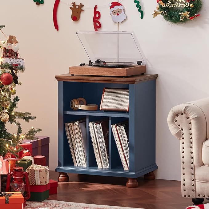 Joaxswe Record Player Stand