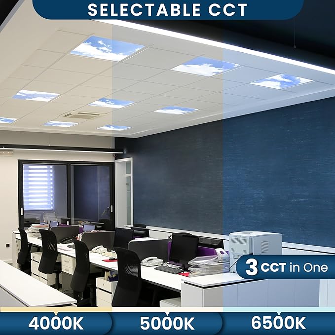 4 Pack 2x4 LED Flat Panel Light Drop Ceiling Fixture