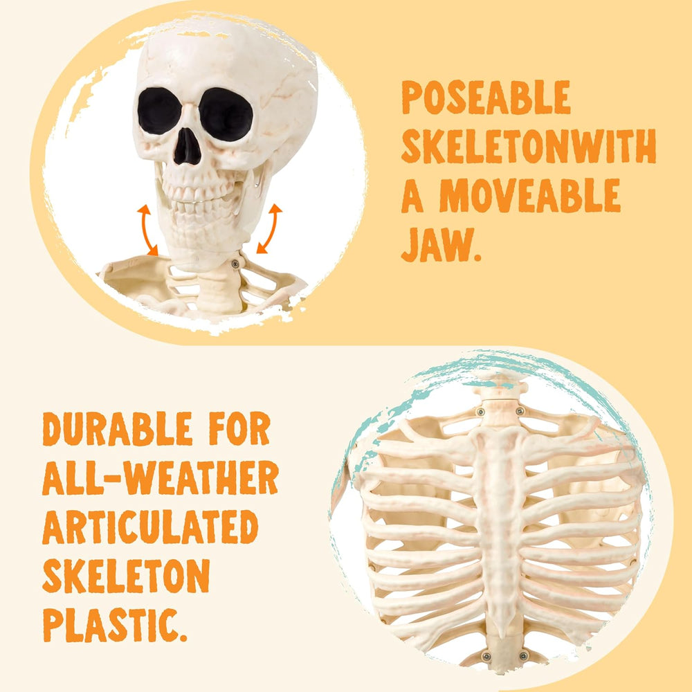 JOYIN 36" Halloween Skeleton Decor, 3FT Full Body Realistic Bones with S...