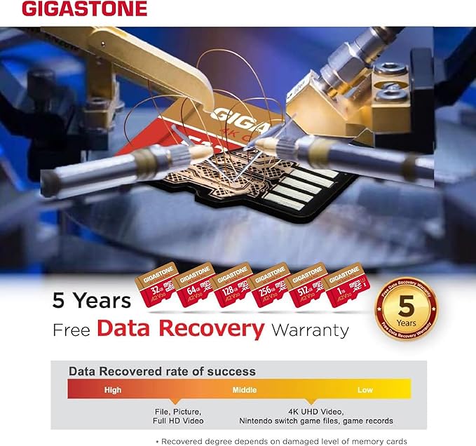 【for Switch 1 Only】 GIGASTONE 1TB Micro SD Card, 4K Game Pro, MicroSDXC Memory