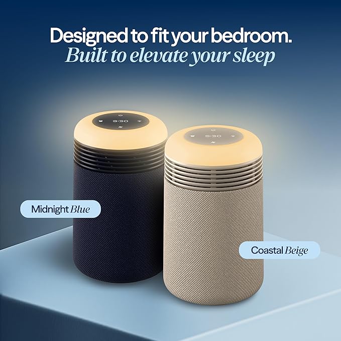 BLUEAIR Purifier for Bedroom