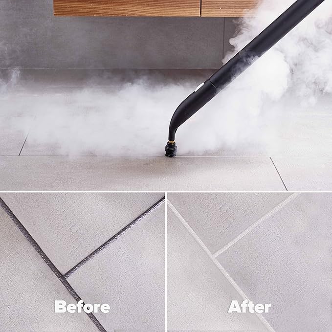 Dupray Neat Plus Steam Cleaner