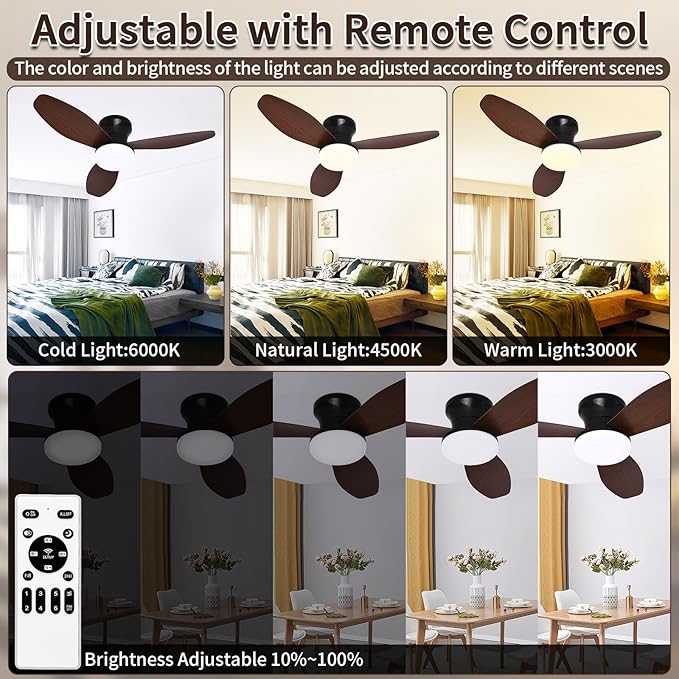 Glowall Small Ceiling Fan with Lights and Remote, Small Quiet, DC Motor