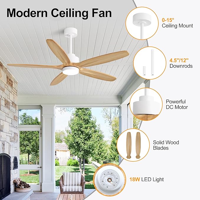 WINGBO 54" Ceiling Fan with Light