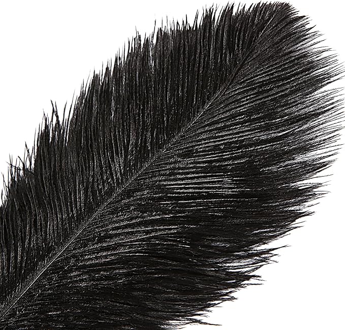 THARAHT Black Ostrich Feathers 12pcs Large Natural Bulk 20-22Inch 50cm-55cm for Wedding Party Centerpieces Halloween and Home Decoration Feathers