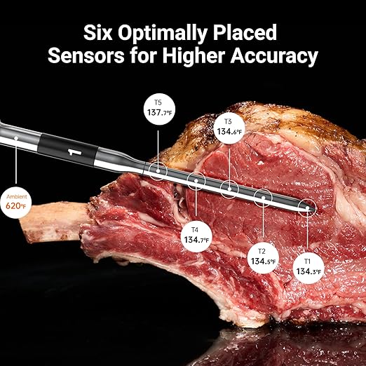 ThermoMaven Smart Bluetooth Wireless Meat Thermometer: Standalone Base