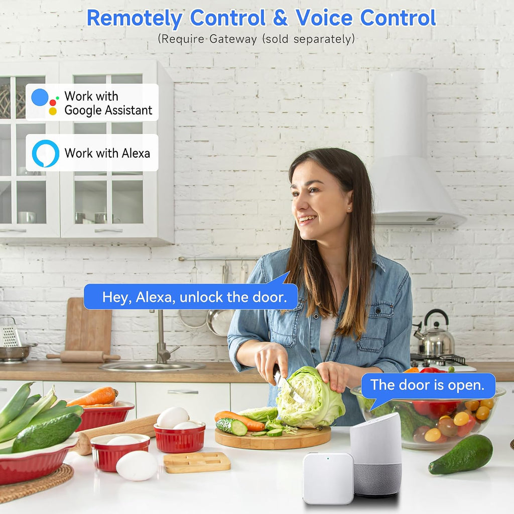 smart keyless entry door lock with handle – on a desk or shelf