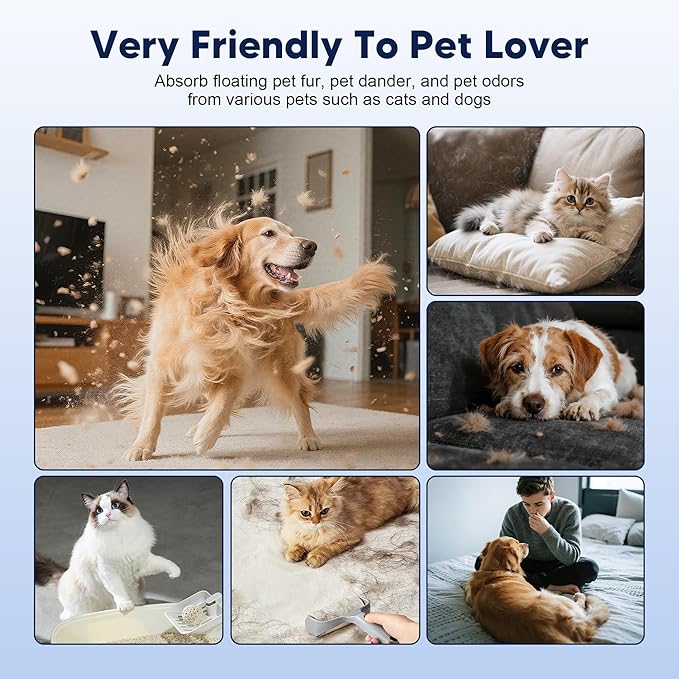 PETOX AP-1512HH Replacement Filter