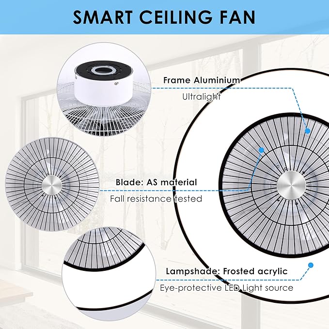 HUMHOLD 24" Bladeless Ceiling Fans