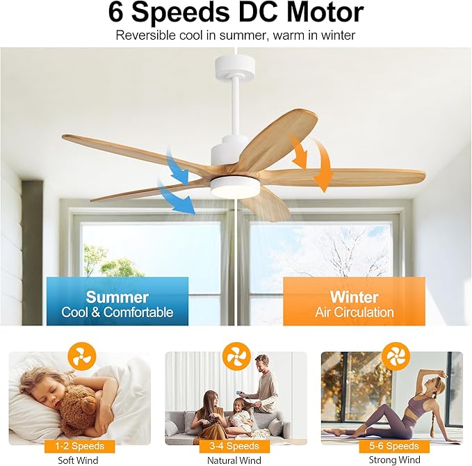 WINGBO 54" Ceiling Fan with Light