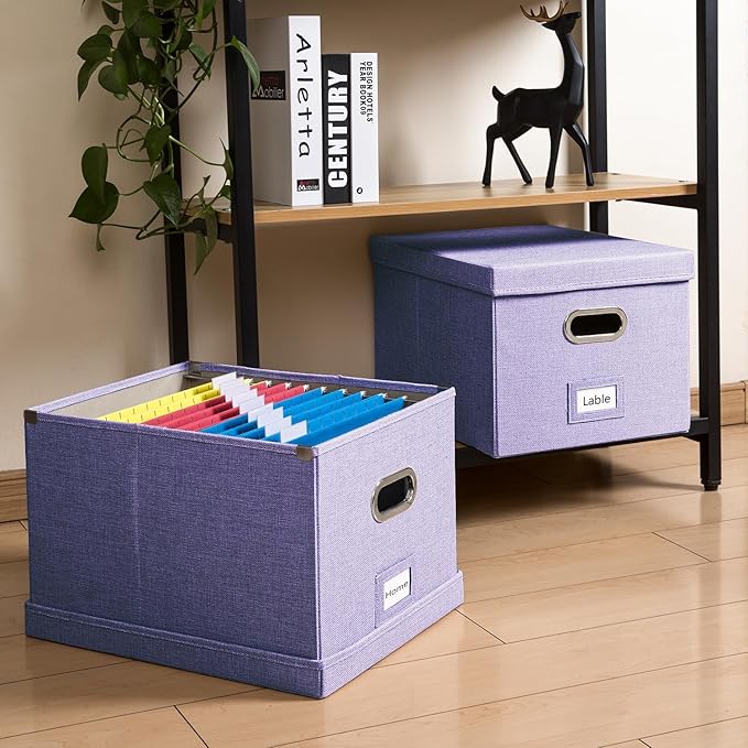 PRANDOM File Organizer Box (Set of 4)