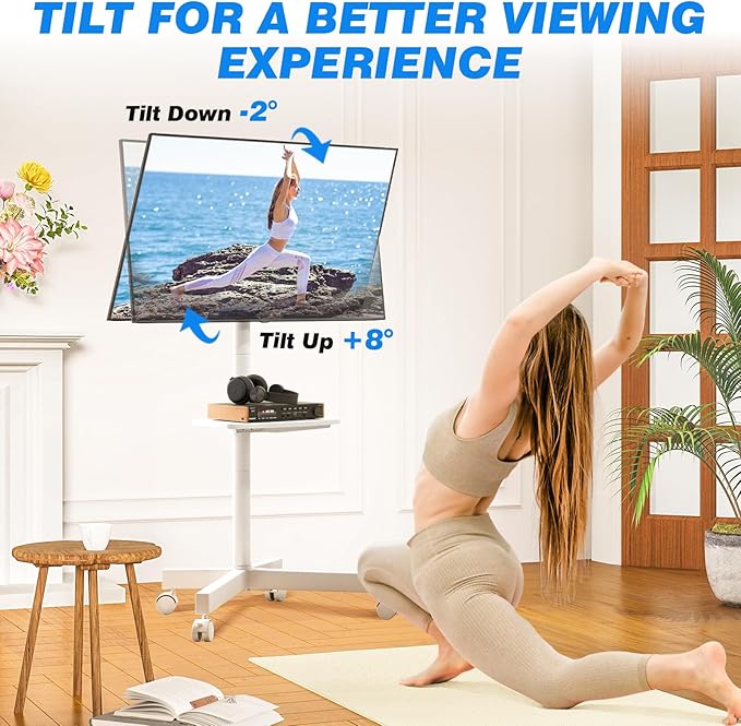 Rfiver Mobile TV Stand for 23-60 Inch LCD LED Flat/Curved Panel Screen TVs up